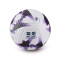 Nike Oficial Premier League Temp. 2023-2024 3rd Ball