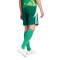 Short adidas Tiro 24