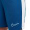 Short Nike Enfants Dri-Fit Academy 23