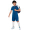 Nike Kids Dri-Fit Academy 23 Shorts