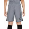 Nike Dri-Fit Academy 23 Niño Shorts