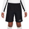 Nike Dri-Fit Academy 23 Niño Shorts