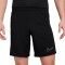 Nike Dri-Fit Academy 23 Shorts