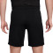 Nike Dri-Fit Academy 23 Shorts