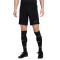 Nike Dri-Fit Academy 23 Shorts