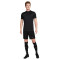 Spodenki Nike Dri-Fit Academy 23