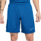 Pantalón corto Nike Dri-Fit Academy 23