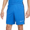 Nike Dri-Fit Academy 23 Shorts