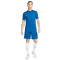 Camiseta Nike Dri-Fit Academy 23