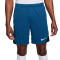 Nike Dri-Fit Strike Shorts