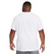 Camiseta Nike Dri-Fit Novelty