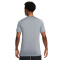 Camiseta Nike Pro