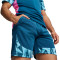 Puma IndividualFinal Shorts