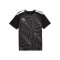 Camiseta Puma Individual Liga Graphic