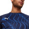 Camisola Puma Individual Liga Graphic