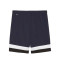 Puma Individual Rise Shorts