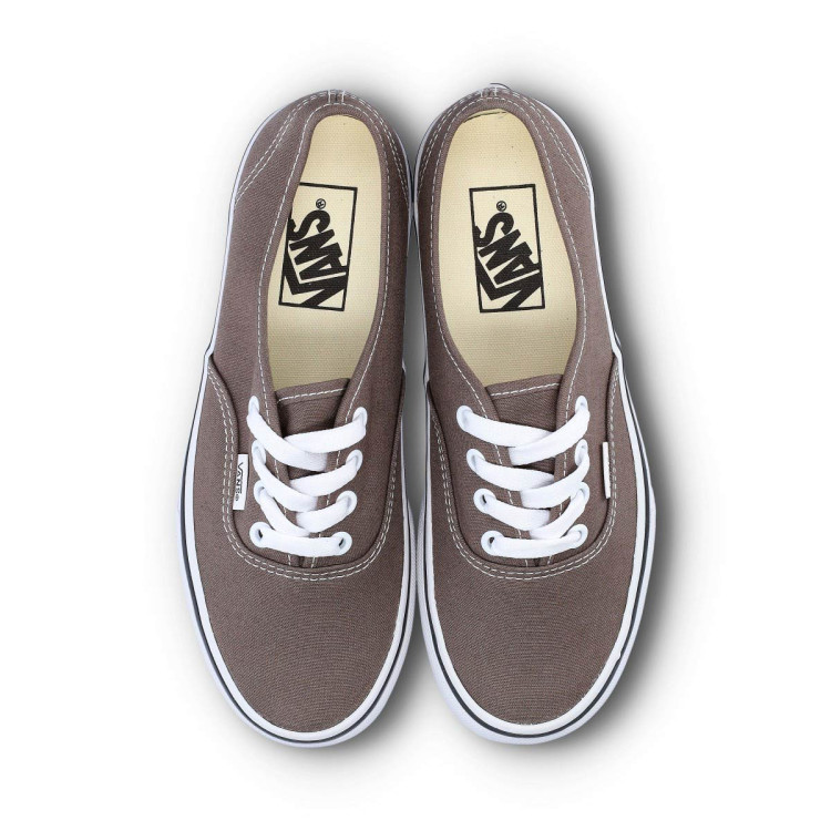 zapatilla-vans-authentic-theory-bungee-cord-4