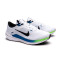 Chaussures Nike Winflo 10
