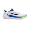 Chaussures Nike Winflo 10