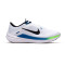 Nike Winflo 10 Running shoes