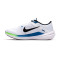 Nike Winflo 10 Running shoes