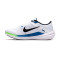 Chaussures Nike Winflo 10