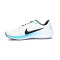 Nike Air Zoom Pegasus 40 Laufschuhe