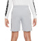 Nike Kids Repeat Swoosh Shorts