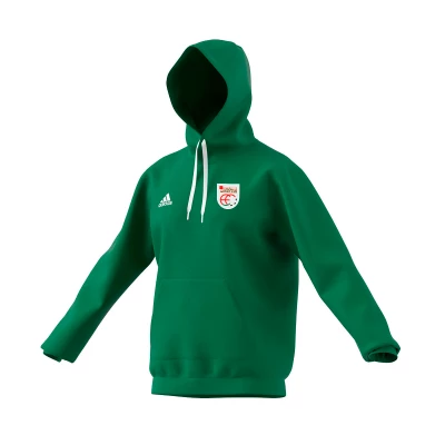 Sudadera Paseo Euskal Selekzioa Niño/a - Jertsea Paseo Euskal Selekzioa Haurra