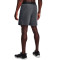 Under Armour Vanish Shorts