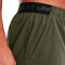 Under Armour Vanish Shorts