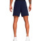 Under Armour Vanish Shorts