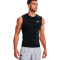 Under Armour HeatGear Compression Jersey