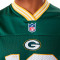 New Era Nfl Bay Packers Pullover