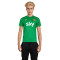 Maillot Castore Domicile Irlande 2024-2025