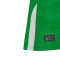 Maillot Castore Domicile Irlande 2024-2025