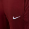 Pantaloni  Nike Polonia Training Euro 2024