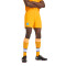Calções New Balance FC Porto Segundo Equipamento 2024-2025