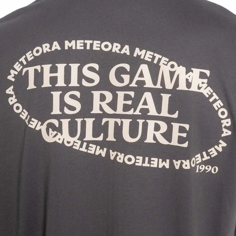 camiseta-meteora-graphic-antracita-4