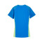 Maillot Puma Individualfinal Jersey