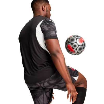 Maillot AC Milan Domicile Gardien de But 2024-2025