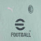 Puma AC Milan Training 2024-2025 T-Shirt