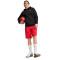 Sudadera Puma AC Milan Fanswear 2024-2025