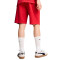 Pantalón corto Puma AC Milan Fanswear 2024-2025