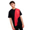 Jersey Puma AC Milan Fanswear 2024-2025