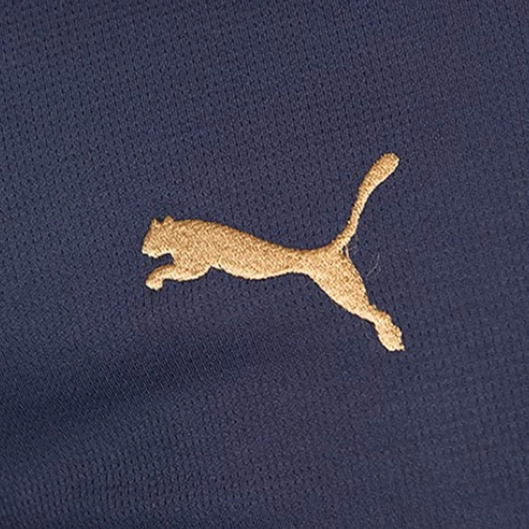 camiseta-puma-alaves-tercera-equipacion-2024-2025-nino-tbc-6
