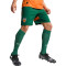 Calções Puma Valencia CF Terceiro Equipamento 2024-2025