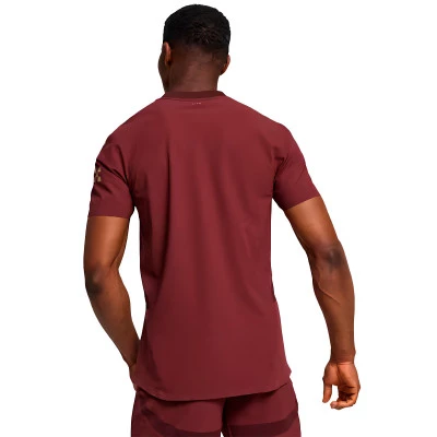 Manchester City Authentic 2024-2025 Third Jersey