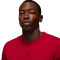 Jersey Jordan Dri-Fit Sport
