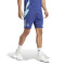 Pantalón corto adidas Arsenal FC Training 2024-2025